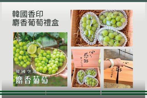 韓國麝香葡萄禮盒